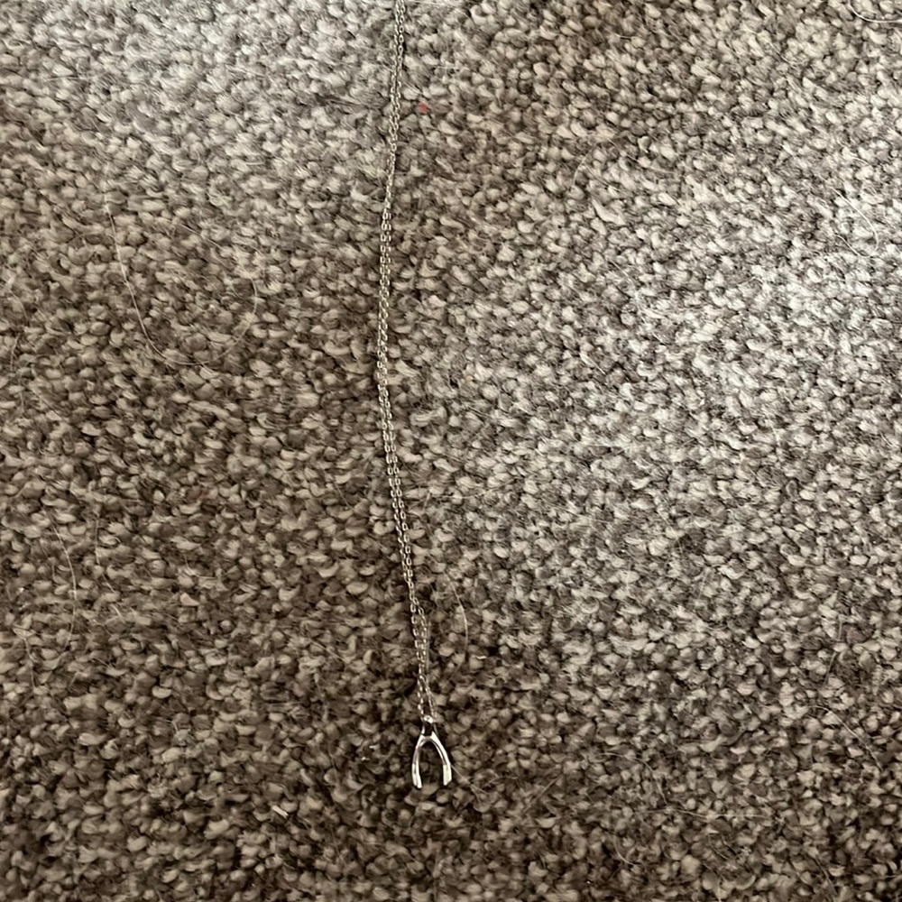 Wishbone Necklace